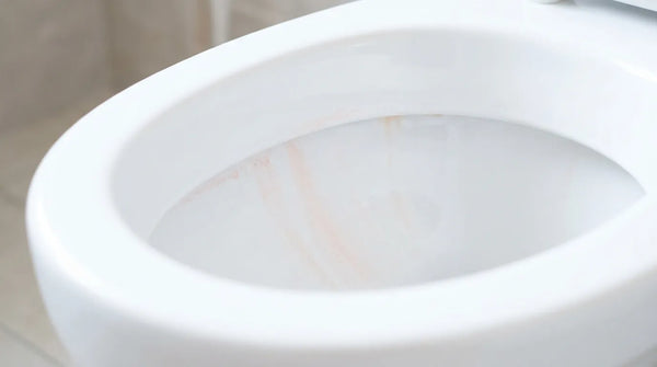 Why Your Guest Bathroom Gets Pink Stains Even Though Nobody Uses It