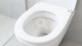 Does Using Bleach Tablets Void Your Toilet's Warranty? What the Fine Print Actually Says