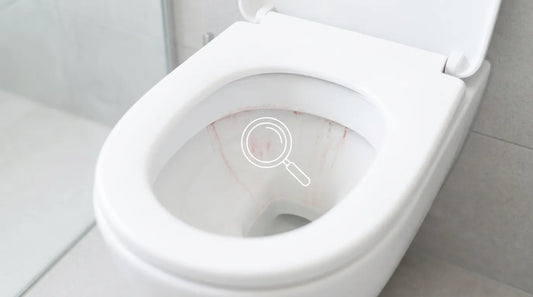 Toilet warranty documentation next to a toilet tank with a bleach tablet inside