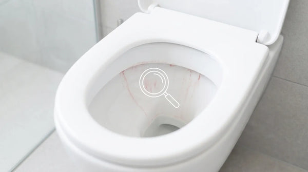 Does Using Bleach Tablets Void Your Toilet's Warranty? What the Fine Print Actually Says