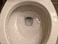 Why Does My Toilet Bowl Get a Ring So Fast? (And How to Stop It Forever)
