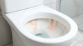 Pink Stains in the Toilet: What They Are, What They Are Not, and When to Worry