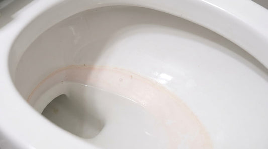 Pink Stains in Your Toilet: What That Color Actually Means
