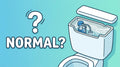 What Is the White Residue Inside My Toilet Tank? (And Should You Worry?)