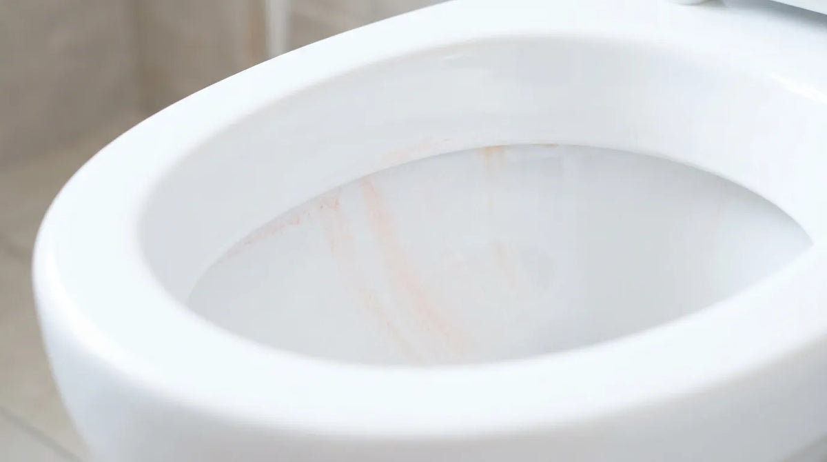 Why Your Guest Bathroom Gets Pink Stains Even Though Nobody Uses It