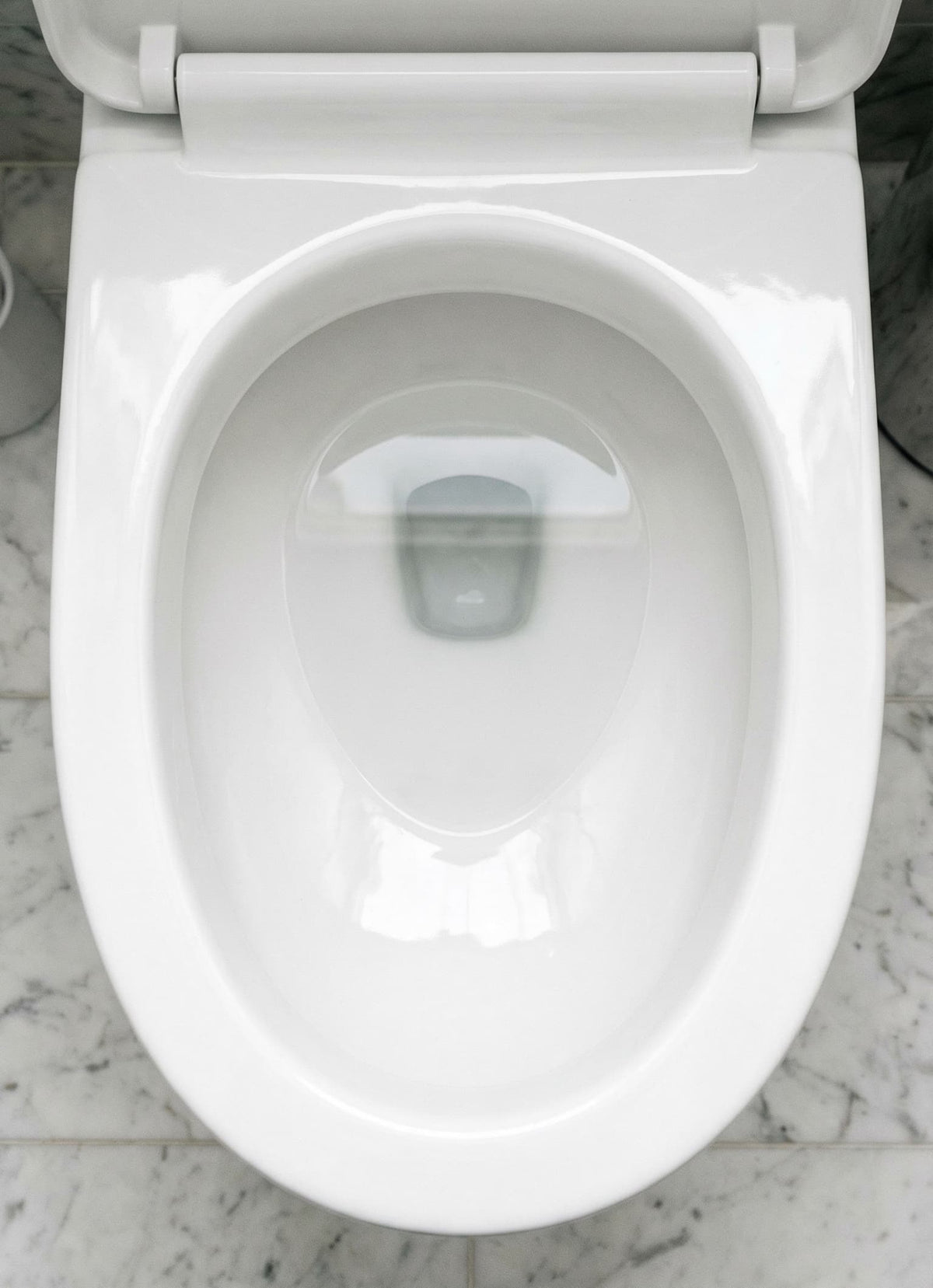 After LAVO: clean white toilet bowl with vivid blue water