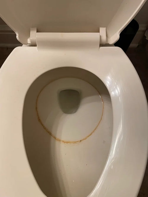 Toilet without LAVO