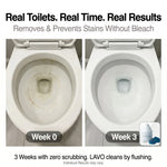 LAVO Auto-Clean Bundle